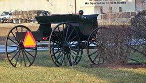 Amish Buggy by Black Bear Inn
