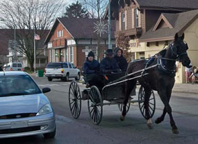Amish in Horse & Buggy