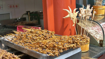 Scorpions and Starfish on Sticks