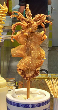 Squid on a Stick