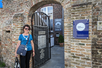 Lace sightings in Europe