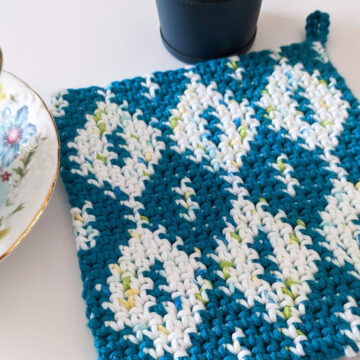 Tapestry Thermal Stitch Potholder