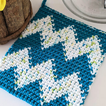 Tapestry Thermal Stitch Potholder